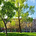 Hotel Star Premium Hannover, By Quality